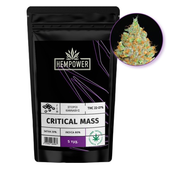 Hempower Seeds  fem. Critical Mass 5τμχ