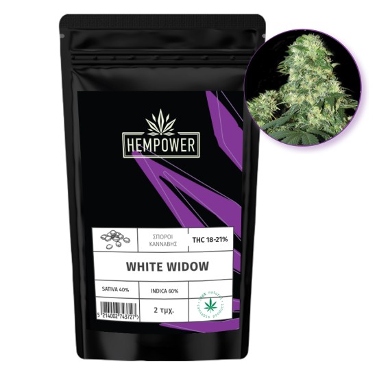 Hempower Seeds White Widow fem. 2pcs