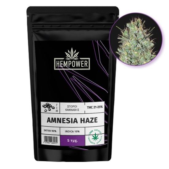 Hempower Seeds fem. Amnesia Haze 5τμχ